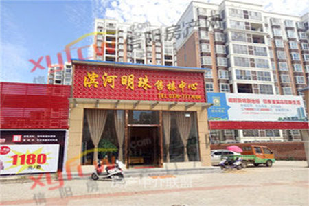 奥韵花园，87m2带车库！精装，南北通透
